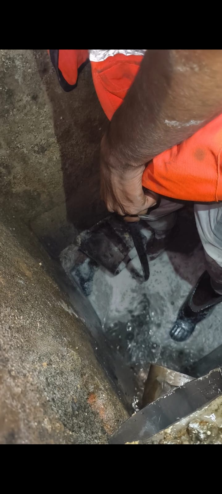 WhatsApp Image 2025 07 22 at 2.46.05 PM (1) - Gallery image