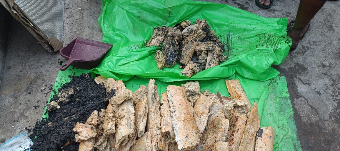 WhatsApp Image 2025 07 22 at 2.46.01 PM - Gallery image